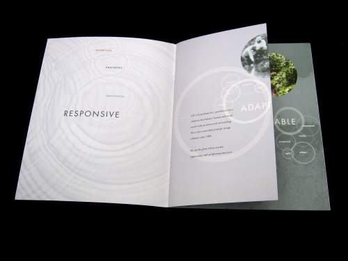 brochure spread. short fold pages create title variations
